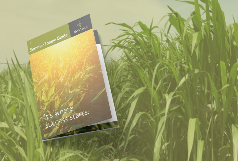 Cover of the EPG Seeds summer product guide